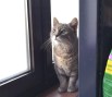 Nuria (4)